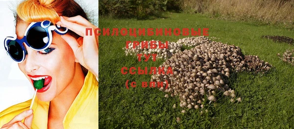 прущий лед Алзамай