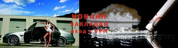 прущий лед Алзамай