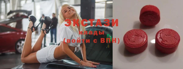СК Алексин