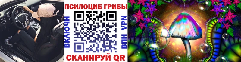 Купить закладки  Галич  Галлюциногенные грибы MAGIC MUSHROOMS 